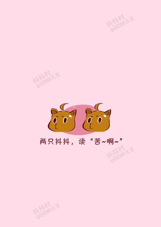 抖抖村 抖抖猫 呆毛