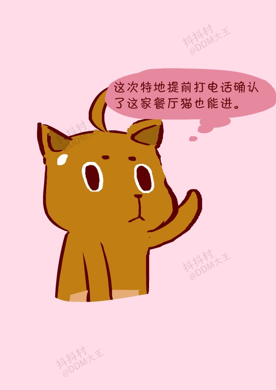 抖抖村 抖抖猫 呆毛