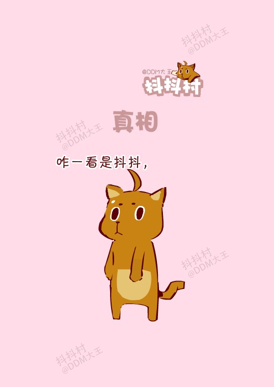 抖抖村 抖抖猫 呆毛