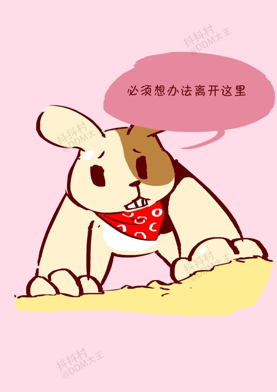 抖抖村 抖抖猫 抖抖