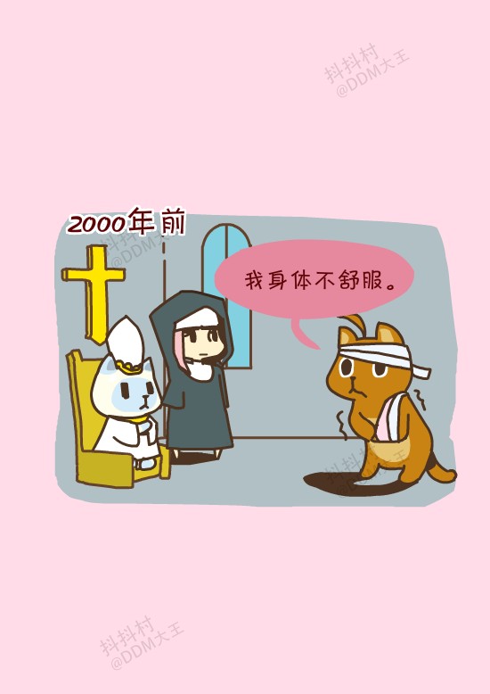 抖抖村 抖抖猫 抖抖