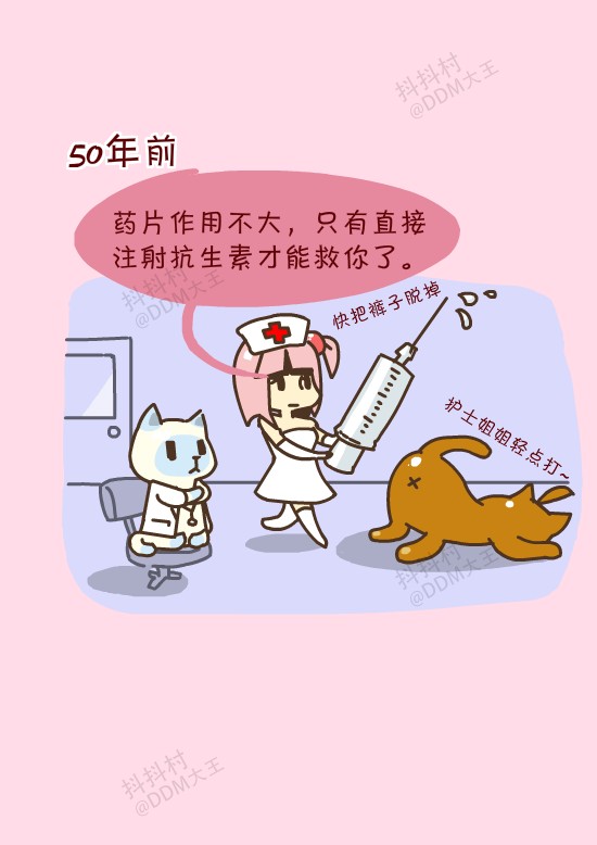 抖抖村 抖抖猫 抖抖